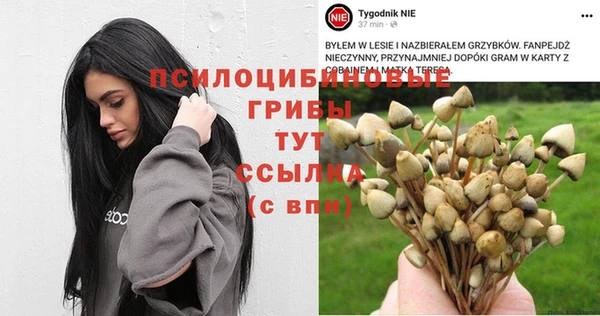 гашик Протвино