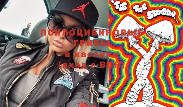 гашик Протвино