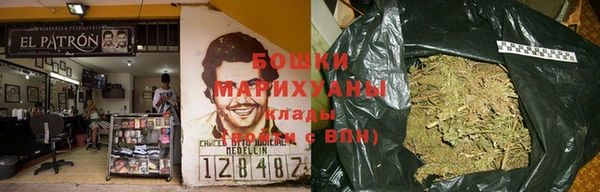 каннабис Покачи