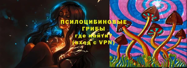 гашик Протвино