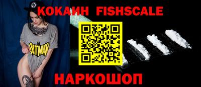 jwh Бийск