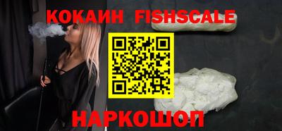 jwh Бийск