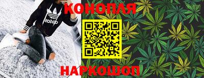 jwh Бийск
