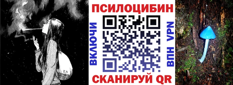 Псилоцибиновые грибы мухоморы  наркота  Великий Устюг 