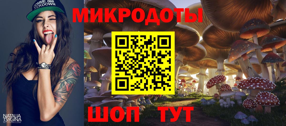 Галлюциногенные грибы мицелий  закладка  Вход с VPN  Великий Устюг  Псилоцибиновые грибы GOLDEN TEACHER 