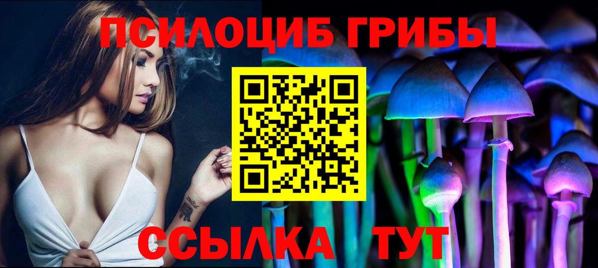 Псилоцибиновые грибы мицелий  Псилоцибиновые грибы ЛСД  Великий Устюг 